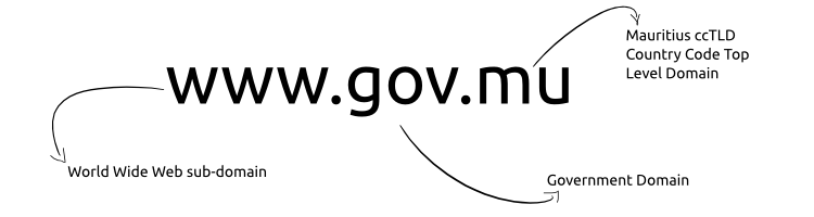 gov-mu_anatomy