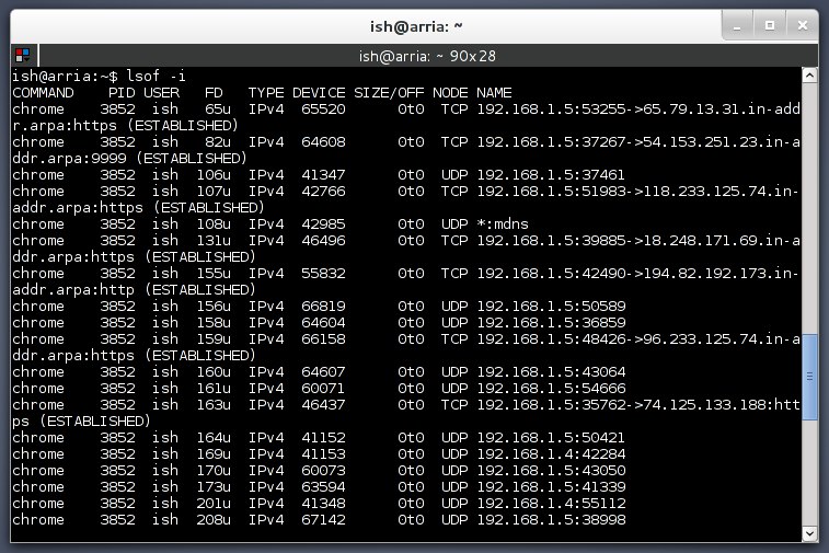 Network connection info